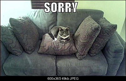 Click image for larger version

Name:	Cat-Sorry-couch-is-full.jpg
Views:	218
Size:	48.8 KB
ID:	36128