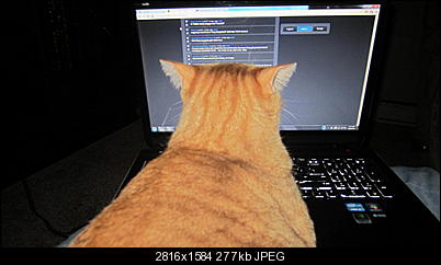 Click image for larger version

Name:	IuyabHQ.jpg
Views:	279
Size:	276.6 KB
ID:	36219
