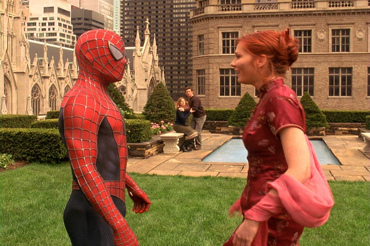 Click image for larger version

Name:	Spider-Man FS DVD.png
Views:	1650
Size:	665.2 KB
ID:	37531