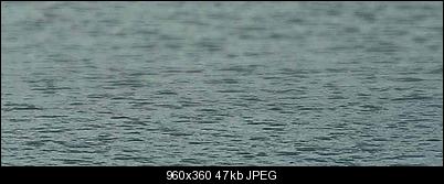 Click image for larger version

Name:	seamix.jpg
Views:	140
Size:	47.3 KB
ID:	38280
