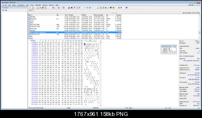 Click image for larger version

Name:	herpderp WinHex.png
Views:	228
Size:	157.8 KB
ID:	38439