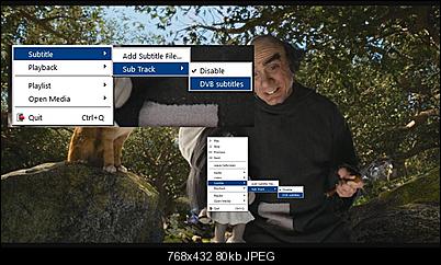 Click image for larger version

Name:	dvbsub1.jpg
Views:	1889
Size:	80.5 KB
ID:	38535