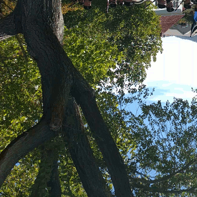 Name:  Untitled.gif
Views: 568
Size:  255.9 KB