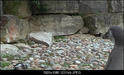 Click image for larger version

Name:	motion_blur.jpg
Views:	291
Size:	1.20 MB
ID:	39328