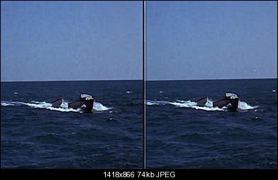 Click image for larger version

Name:	720vs1280.JPG
Views:	1357
Size:	73.8 KB
ID:	39911