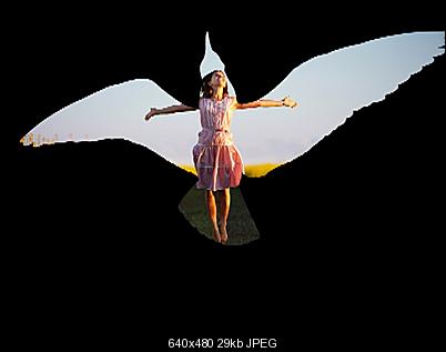 Click image for larger version

Name:	birdmask.jpg
Views:	121
Size:	29.0 KB
ID:	40491