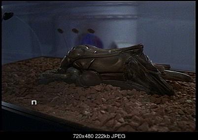 Click image for larger version

Name:	The Fifth Element (alignment issue demo) good V1 - 2.jpg
Views:	736
Size:	222.2 KB
ID:	41733
