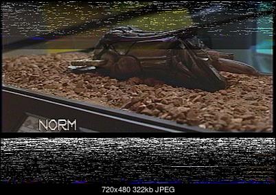 Click image for larger version

Name:	The Fifth Element (alignment issue demo) bad V1 - 1.jpg
Views:	697
Size:	321.9 KB
ID:	41736