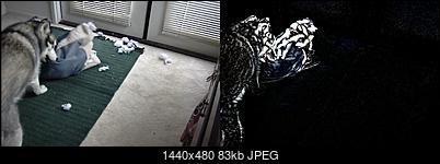 Click image for larger version

Name:	dog.jpg
Views:	1165
Size:	82.6 KB
ID:	45234