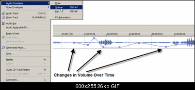 Click image for larger version

Name:	VegasAudio.gif
Views:	729
Size:	25.8 KB
ID:	4593