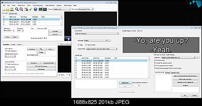 Click image for larger version

Name:	SubtitleEdit.JPG
Views:	235
Size:	200.9 KB
ID:	46806