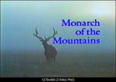 Click image for larger version

Name:	monarchwaves.PNG
Views:	178
Size:	2.10 MB
ID:	47557