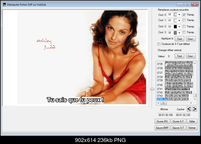 Click image for larger version

Name:	SubtitleCreator - Manipuler fichier SUP ou VobSub.png
Views:	999
Size:	236.2 KB
ID:	51785