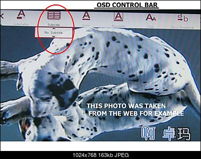 Click image for larger version

Name:	MINI PLAYER.jpg
Views:	393
Size:	163.2 KB
ID:	53927