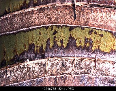 Click image for larger version

Name:	vdub.jpg
Views:	992
Size:	181.9 KB
ID:	5684