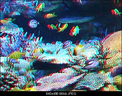 Click image for larger version

Name:	color3d.jpg
Views:	2460
Size:	66.4 KB
ID:	6278