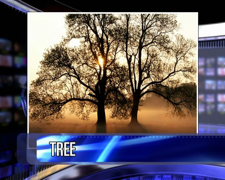 Click image for larger version

Name:	DSG_TV_Studio.mp4_snapshot_00.47_[2011.05.08_21.11.03].jpg
Views:	1306
Size:	136.5 KB
ID:	6754
