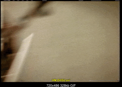 Click image for larger version

Name:	HM-DH5U_2.gif
Views:	653
Size:	328.1 KB
ID:	73367
