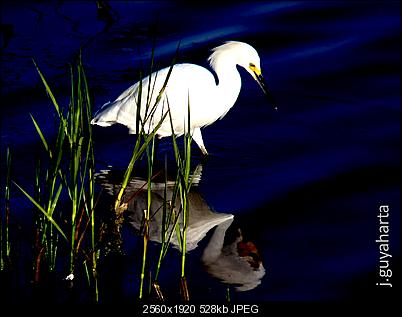 Click image for larger version

Name:	Birdy 1.jpg
Views:	253
Size:	527.6 KB
ID:	8027