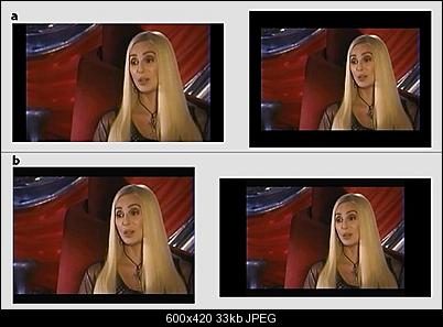Click image for larger version

Name:	cher_format.jpg
Views:	1261
Size:	33.3 KB
ID:	8889