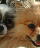 Name:  crop.jpg
Views: 1467
Size:  5.8 KB