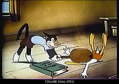 Click image for larger version

Name:	Picture02a.JPG
Views:	1247
Size:	43.9 KB
ID:	9663