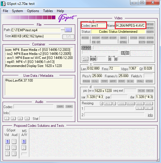 Is avc1 the same for H.264/MPEG-4 AVC? - VideoHelp Forum