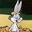 BBugsBunny's Avatar