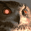 krduncan's Avatar