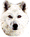 sofwhitewolf's Avatar