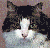 bruddap's Avatar
