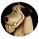 Slider4073's Avatar