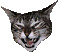 Bertieboo's Avatar