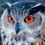 hootal's Avatar