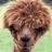 cdillon's Avatar