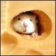 fiberchina89's Avatar