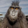 Jamie2939's Avatar