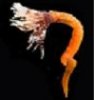 apostrophe's Avatar