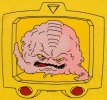 Sundayarak's Avatar