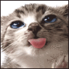 arsenalfun's Avatar