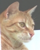 kannixpert's Avatar