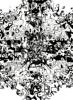 PeripheralVisionaryX's Avatar