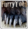 furrytoes's Avatar
