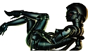 the WebWalker's Avatar