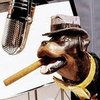 helpful55's Avatar