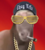 Sector's Avatar