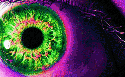 StrangeParoxysm's Avatar