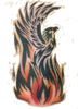 PhoenixNicholson's Avatar