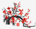 yangyinghua's Avatar