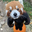aqzs's Avatar